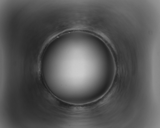 X0000089711366200706281505