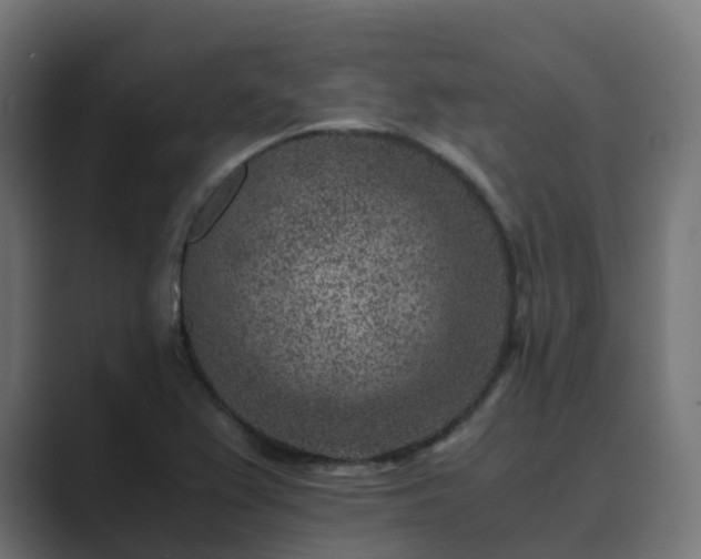 X0000089711367200706281505