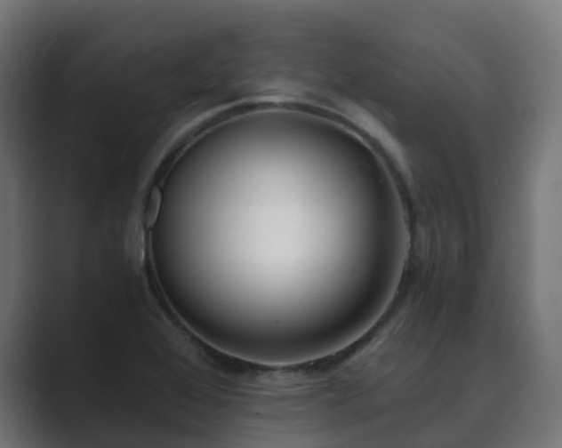 X0000089711368200706281505