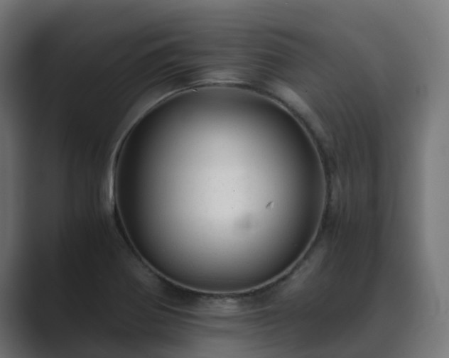 X0000089711370200706281505