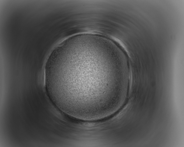 X0000089711371200706281505