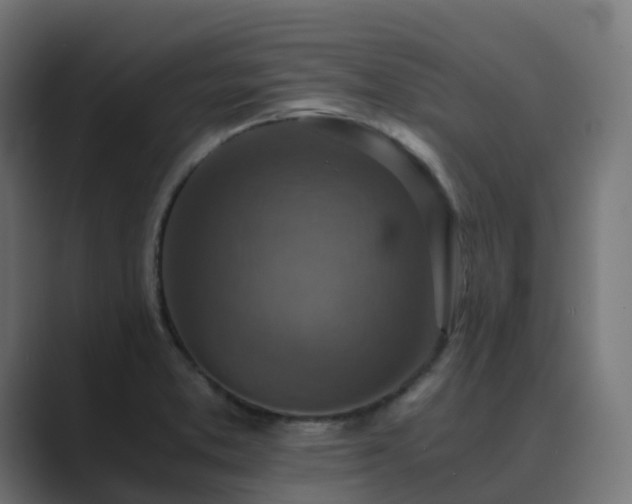 X0000089711373200706281505