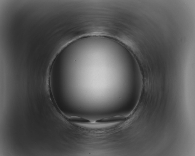 X0000089711374200706281505