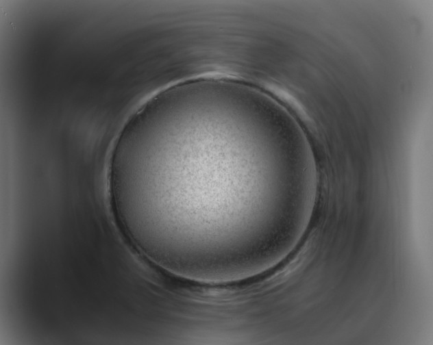 X0000089711375200706281505