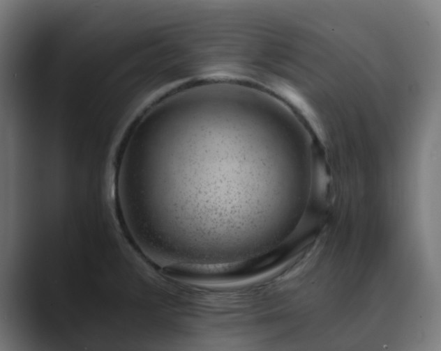 X0000089711376200706281505