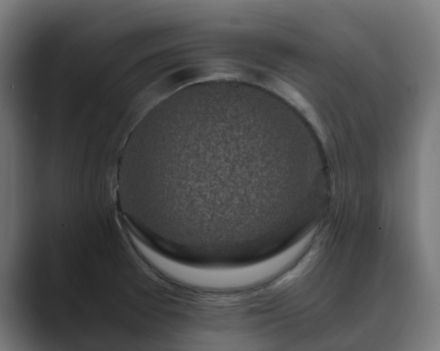 X0000089711377200706281505