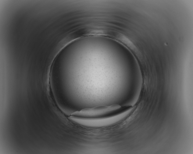 X0000089711378200706281505