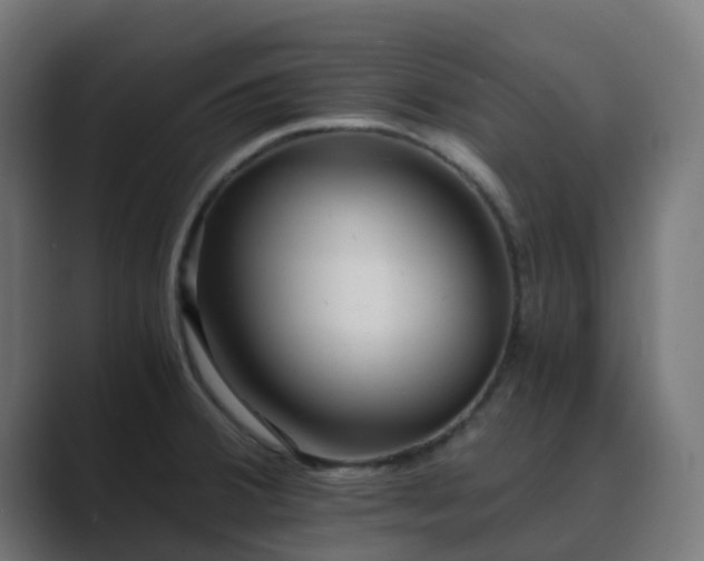 X0000089711380200706281505