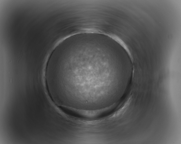 X0000089711381200706281505