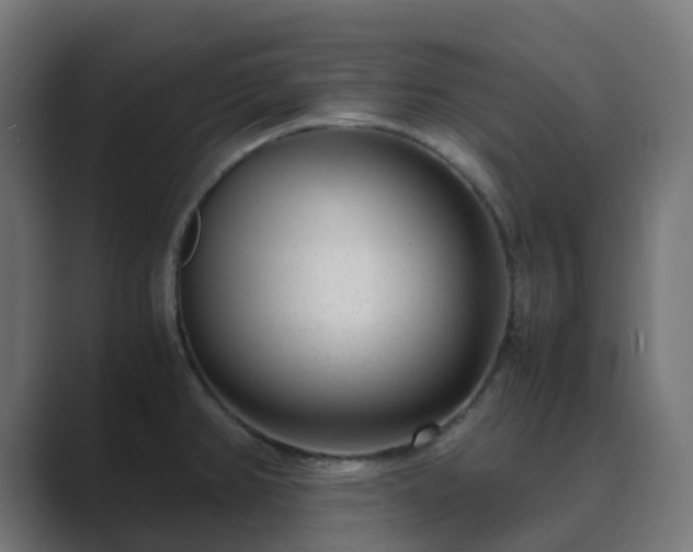 X0000089711382200706281505