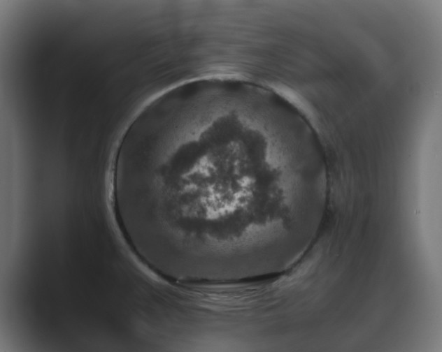 X0000089711383200706281505