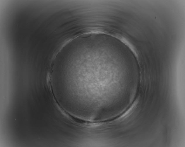 X0000089711385200706281505