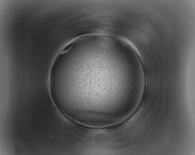 X0000089711387200706281504