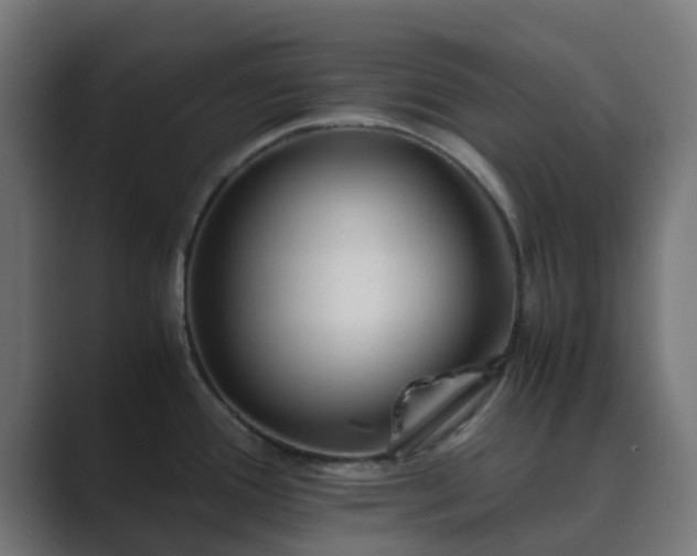 X0000089711388200706281504