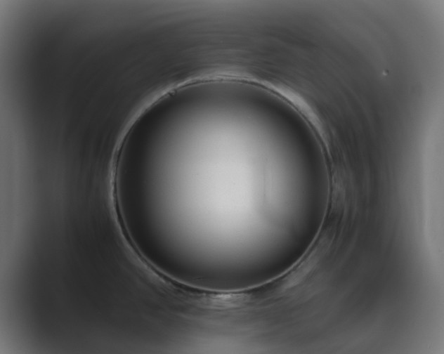 X0000089711390200706281504