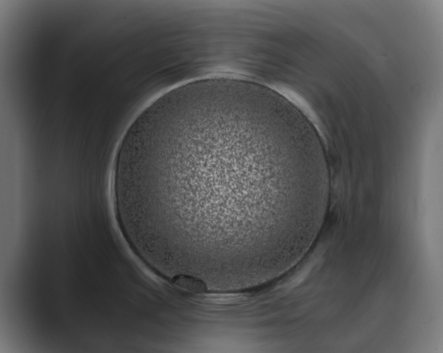 X0000089711391200706281504