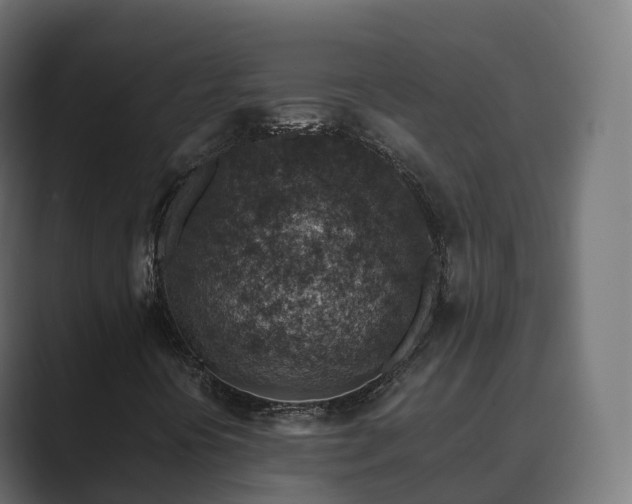 X0000089711394200706281504