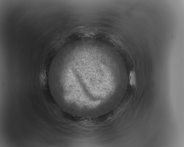 X0000089711395200706281504