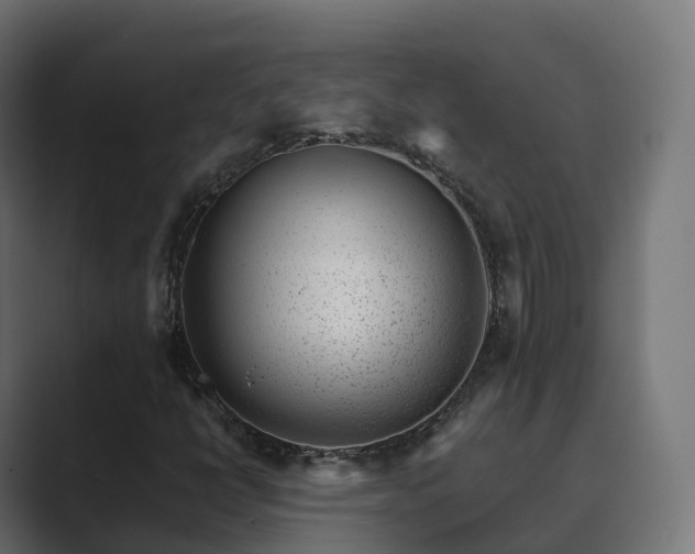 X0000089711398200706281504