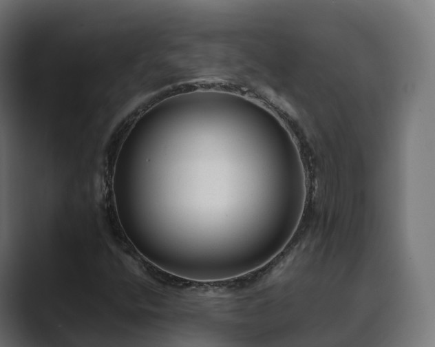 X0000089711400200706281504