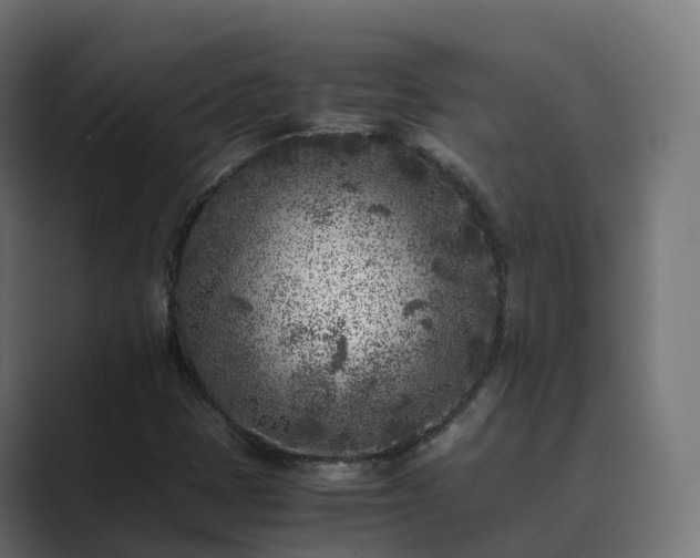 X0000089711401200706281504