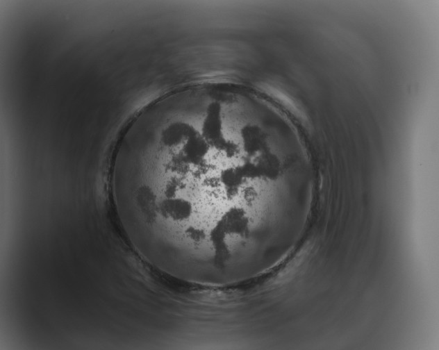 X0000089711405200706281504