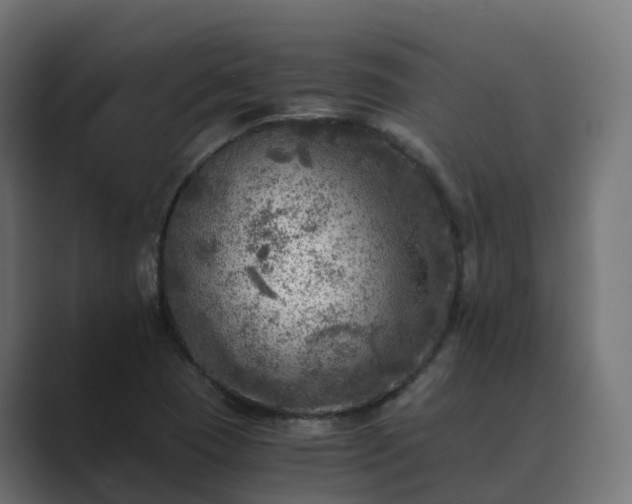 X0000089711409200706281504