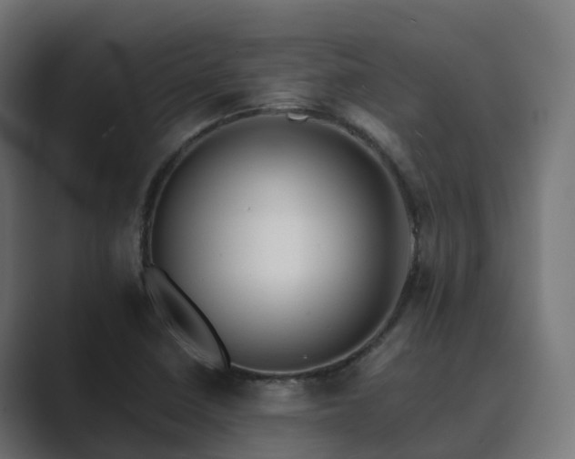 X0000089711410200706281504