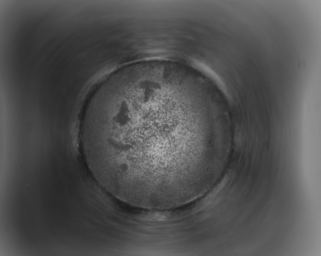 X0000089711411200706281504