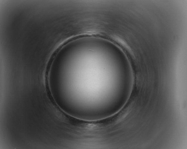 X0000089711412200706281504