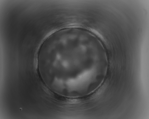 X0000089711413200706281504