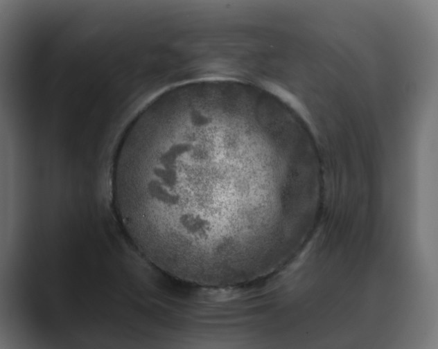 X0000089711415200706281504