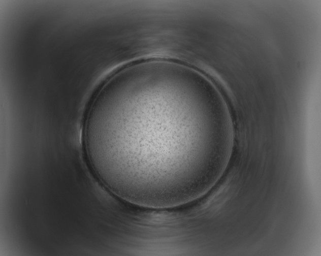 X0000089711416200706281504