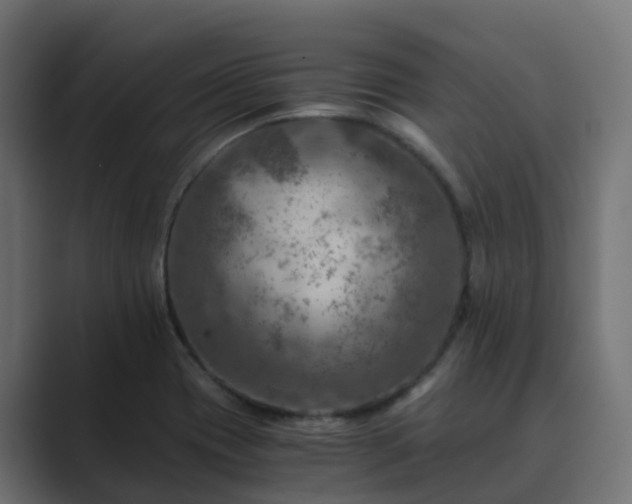 X0000089711417200706281504