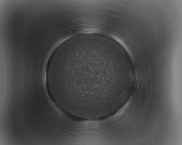 X0000089711418200706281504