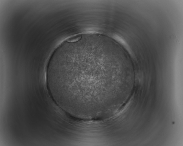 X0000089711419200706281504