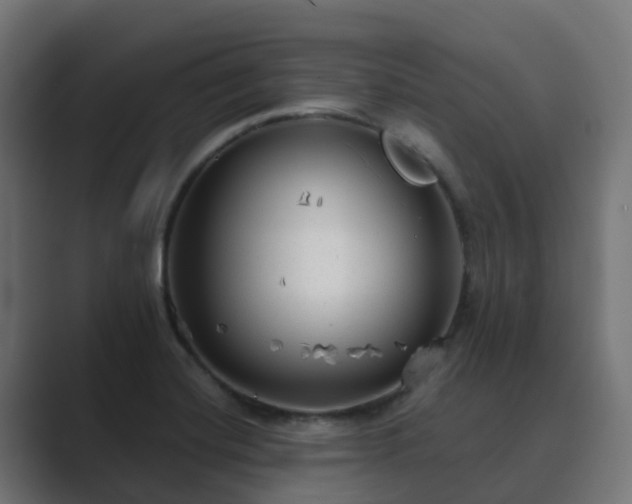 X0000089711420200706281504