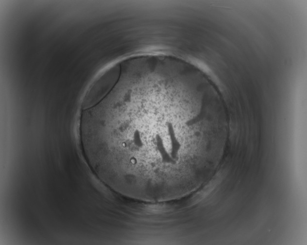 X0000089711421200706281504