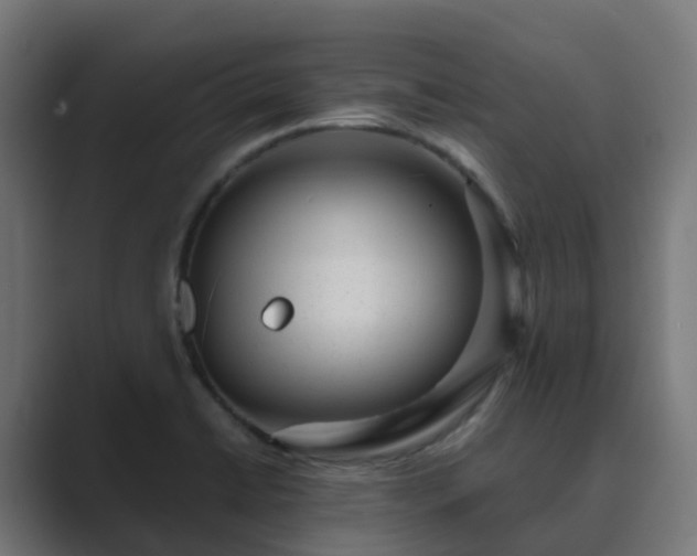 X0000089711422200706281504