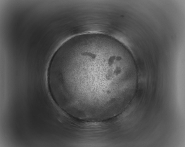 X0000089711423200706281504