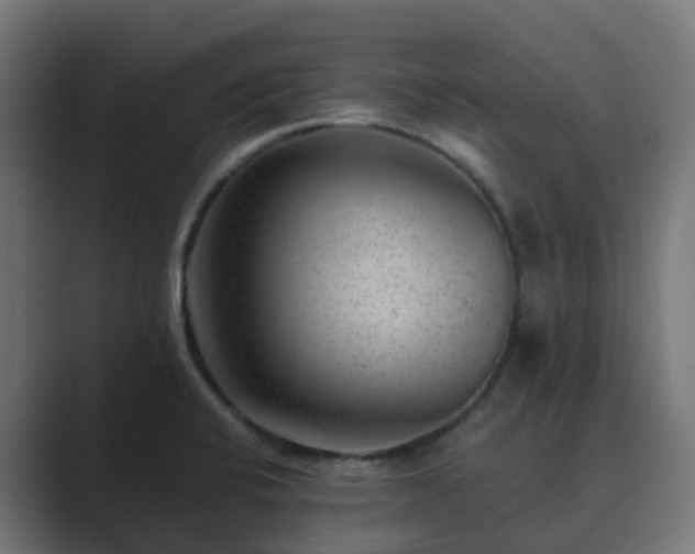 X0000089711424200706281504