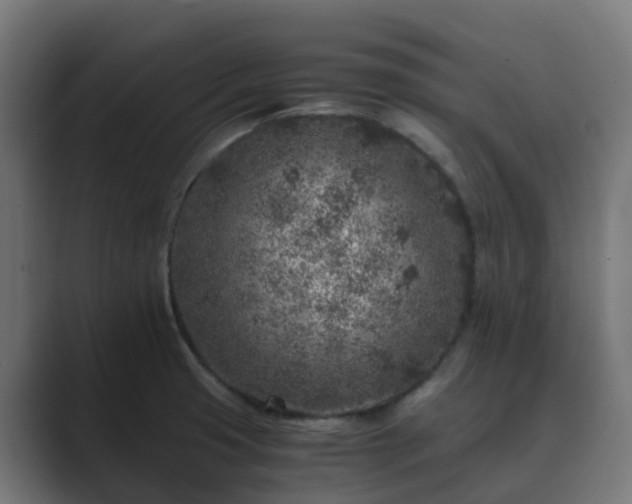 X0000089711425200706281504