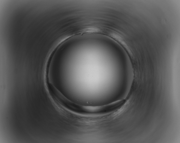 X0000089711426200706281504