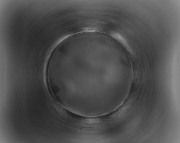 X0000089711427200706281504