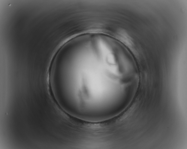 X0000089711428200706281504