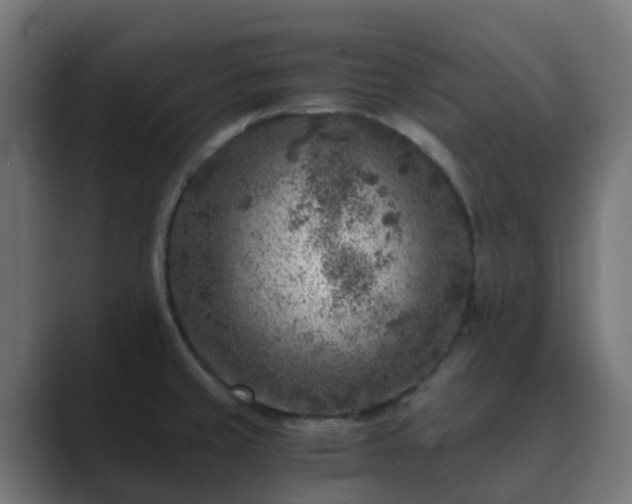 X0000089711429200706281504