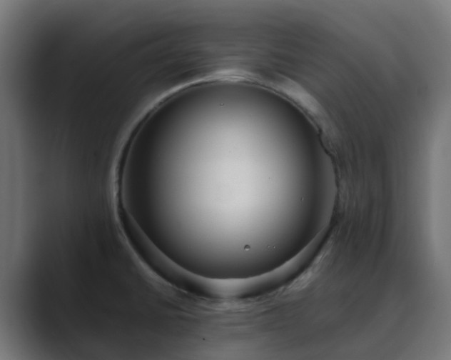 X0000089711430200706281504