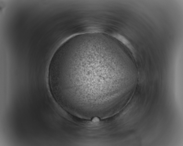 X0000089711431200706281504