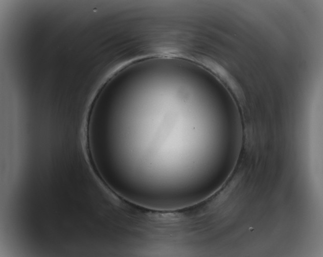 X0000089711432200706281504