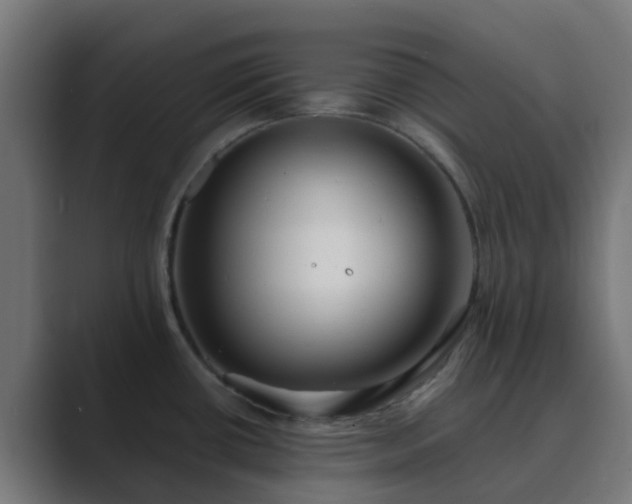 X0000089711434200706281504